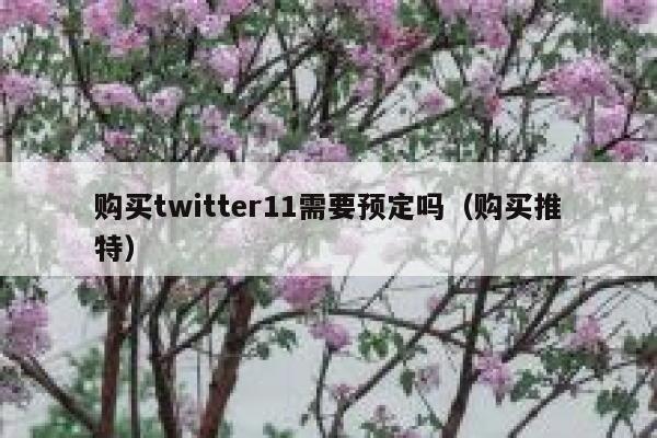 购买twitter11需要预定吗（购买推特） 第1张
