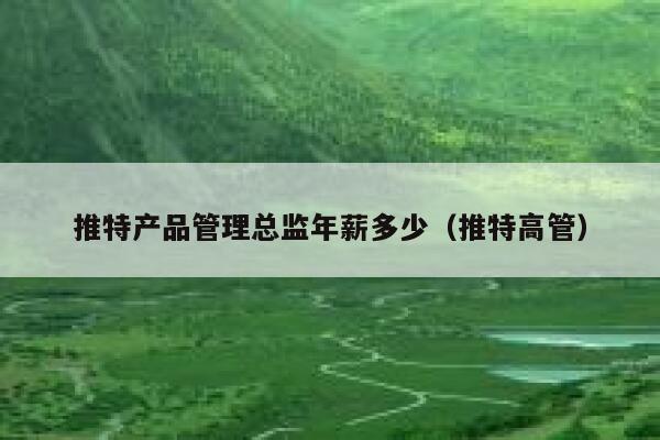 推特产品管理总监年薪多少（推特高管） 第1张