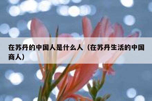 在苏丹的中国人是什么人（在苏丹生活的中国商人） 第1张