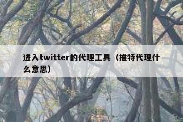 进入twitter的代理工具(推特代理什么意思) 第1张 进入twitter的代理工具(推特代理什么意思) 第1张