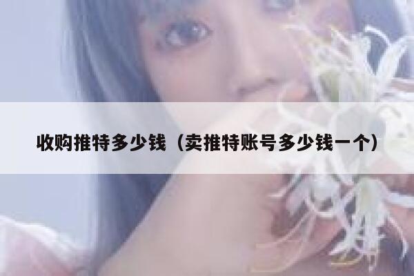 收购推特多少钱(卖推特账号多少钱一个) 第1张 收购推特多少钱(卖推特账号多少钱一个) 第1张