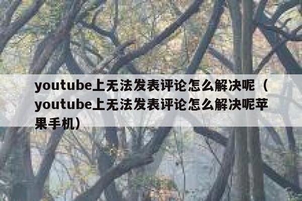 youtube上无法发表评论怎么解决呢（youtube上无法发表评论怎么解决呢苹果手机） 第1张