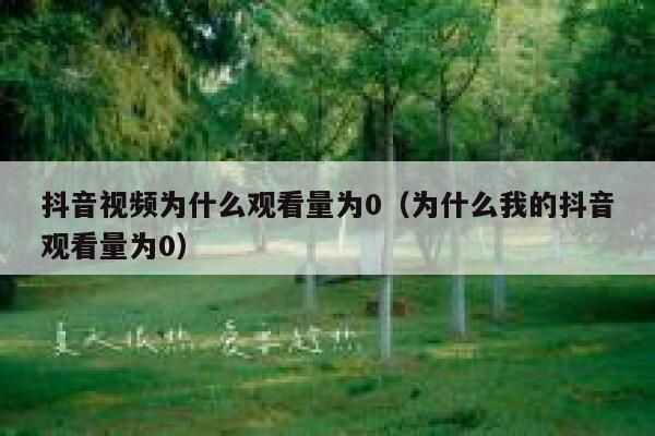抖音视频为什么观看量为0(为什么我的抖音观看量为0) 第1张 抖音视频为什么观看量为0(为什么我的抖音观看量为0) 第1张
