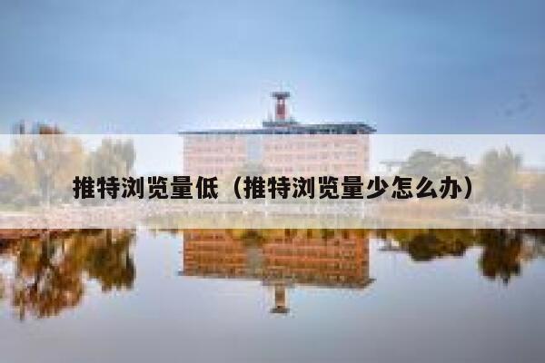 推特浏览量低（推特浏览量少怎么办） 第1张