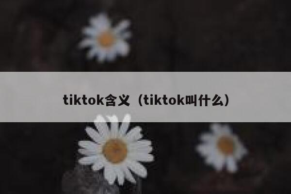 tiktok含义（tiktok叫什么） 第1张