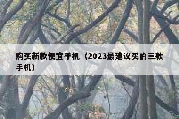 购买新款便宜手机（2023最建议买的三款手机） 第1张