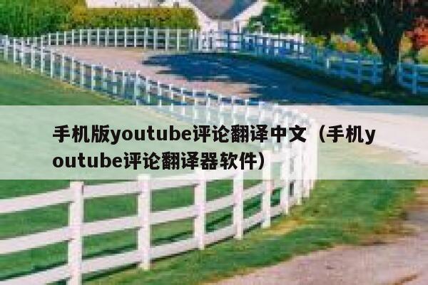 手机版youtube评论翻译中文（手机youtube评论翻译器软件） 第1张