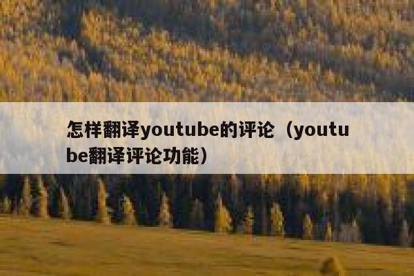 怎样翻译youtube的评论（youtube翻译评论功能） 第1张