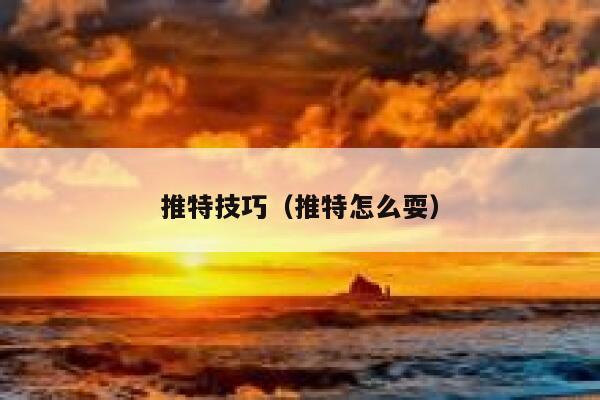 推特技巧（推特怎么耍） 第1张