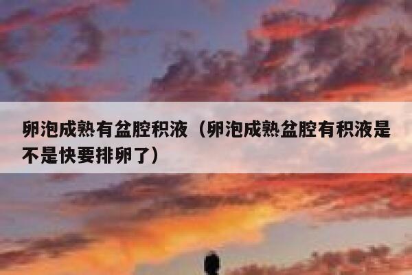 卵泡成熟有盆腔积液(卵泡成熟盆腔有积液是不是快要排卵了) 第1张 卵泡成熟有盆腔积液(卵泡成熟盆腔有积液是不是快要排卵了) 第1张
