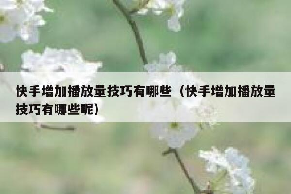 快手增加播放量技巧有哪些（快手增加播放量技巧有哪些呢） 第1张