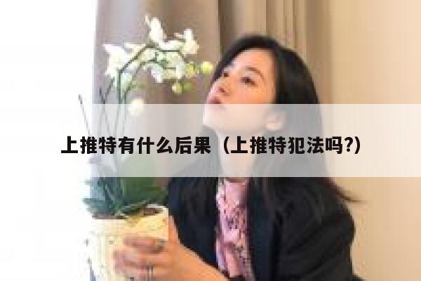上推特有什么后果（上推特犯法吗?） 第1张
