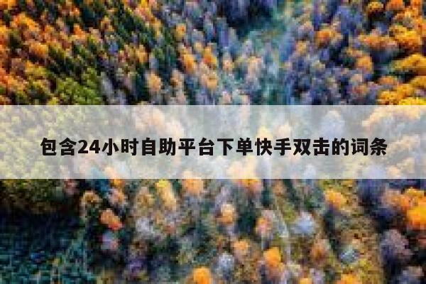 包含24小时自助平台下单快手双击的词条 第1张