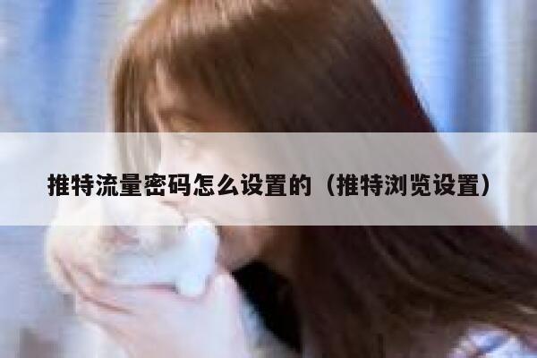 推特流量密码怎么设置的（推特浏览设置） 第1张