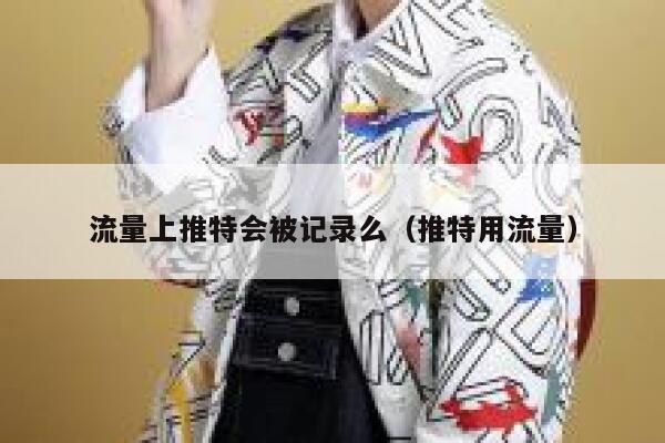流量上推特会被记录么（推特用流量） 第1张