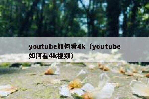youtube如何看4k（youtube如何看4k视频） 第1张