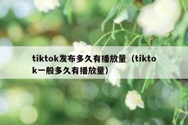 tiktok发布多久有播放量（tiktok一般多久有播放量） 第1张