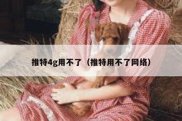 推特4g用不了（推特用不了网络） 第1张