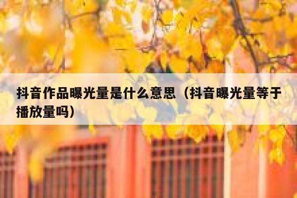 抖音作品曝光量是什么意思（抖音曝光量等于播放量吗） 第1张