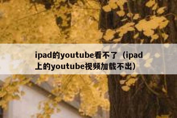 ipad的youtube看不了（ipad上的youtube视频加载不出） 第1张