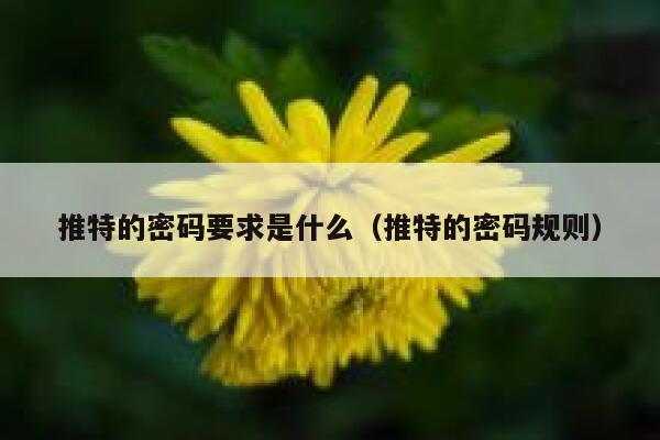 推特的密码要求是什么（推特的密码规则） 第1张