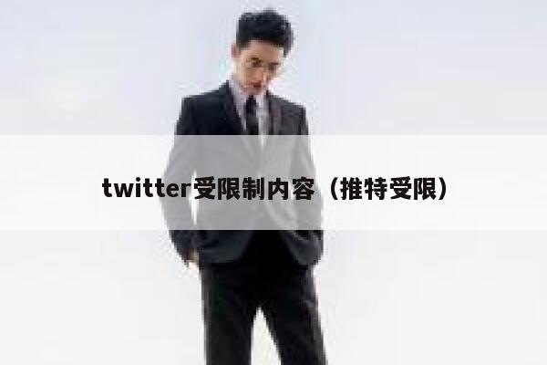 twitter受限制内容（推特受限） 第1张