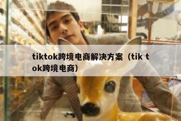 tiktok跨境电商解决方案（tik tok跨境电商） 第1张