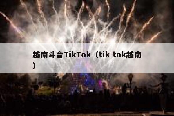 越南斗音TikTok（tik tok越南） 第1张