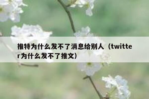 推特为什么发不了消息给别人（twitter为什么发不了推文） 第1张
