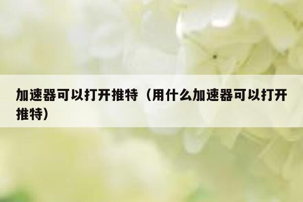 加速器可以打开推特（用什么加速器可以打开推特） 第1张
