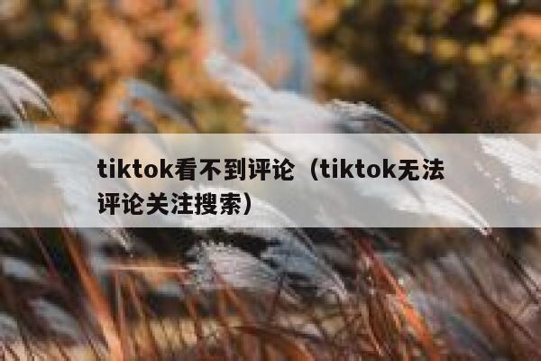 tiktok看不到评论（tiktok无法评论关注搜索） 第1张