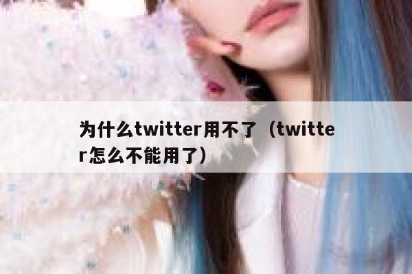 为什么twitter用不了（twitter怎么不能用了） 第1张