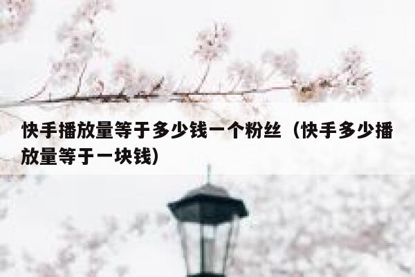 快手播放量等于多少钱一个粉丝（快手多少播放量等于一块钱） 第1张