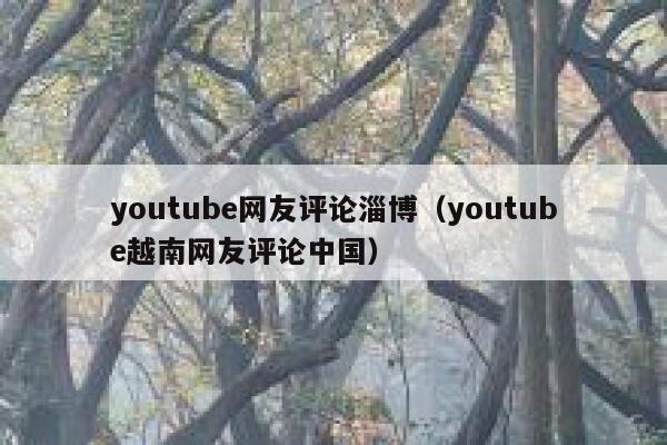 youtube网友评论淄博（youtube越南网友评论中国） 第1张