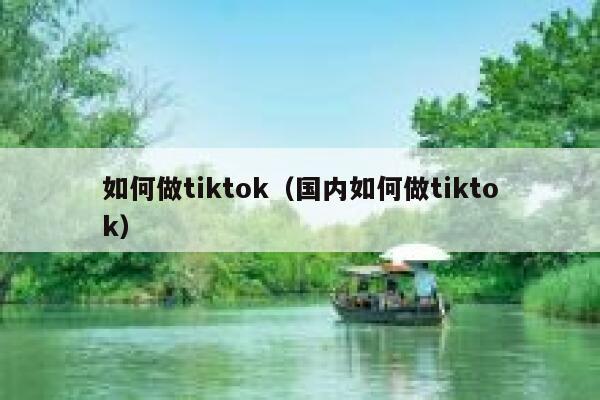如何做tiktok（国内如何做tiktok） 第1张