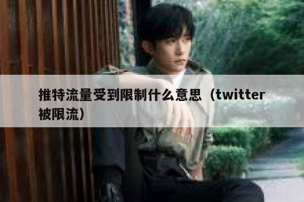 推特流量受到限制什么意思（twitter被限流） 第1张