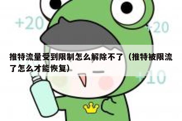 推特流量受到限制怎么解除不了（推特被限流了怎么才能恢复） 第1张