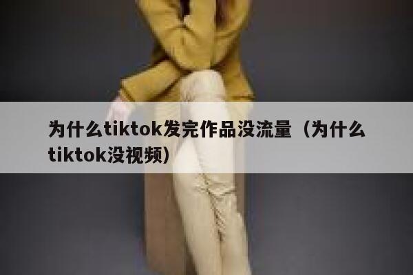 为什么tiktok发完作品没流量（为什么tiktok没视频） 第1张
