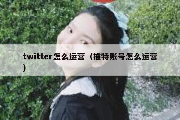 twitter怎么运营（推特账号怎么运营） 第1张