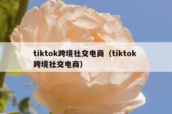 tiktok跨境社交电商(tiktok 跨境社交电商) 第1张 tiktok跨境社交电商(tiktok 跨境社交电商) 第1张