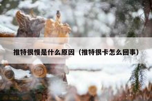 推特很慢是什么原因（推特很卡怎么回事） 第1张