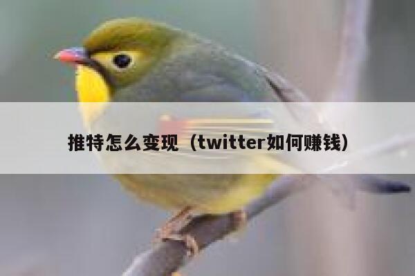 推特怎么变现（twitter如何赚钱） 第1张