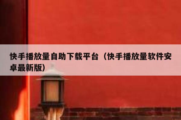 快手播放量自助下载平台（快手播放量软件安卓最新版） 第1张