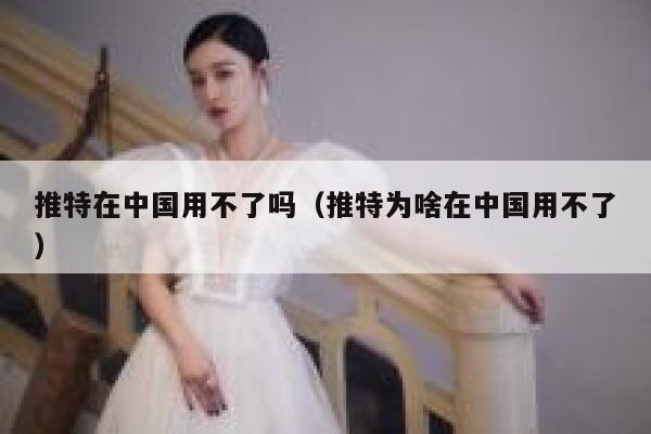 推特在中国用不了吗(推特为啥在中国用不了) 第1张 推特在中国用不了吗(推特为啥在中国用不了) 第1张
