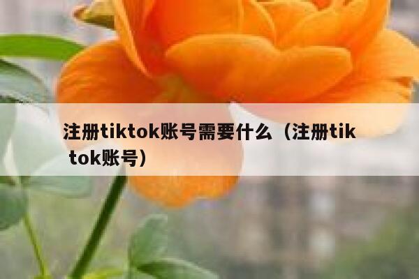 注册tiktok账号需要什么（注册tik tok账号） 第1张