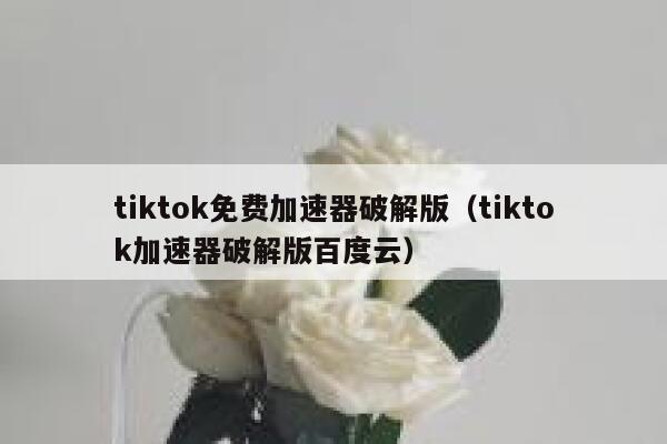 tiktok免费加速器破解版（tiktok加速器破解版百度云） 第1张