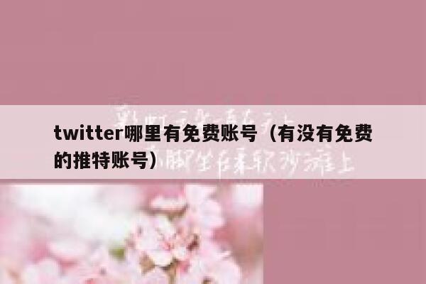 twitter哪里有免费账号(有没有免费的推特账号) 第1张 twitter哪里有免费账号(有没有免费的推特账号) 第1张