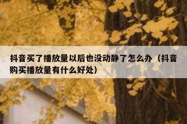 抖音买了播放量以后也没动静了怎么办（抖音购买播放量有什么好处） 第1张