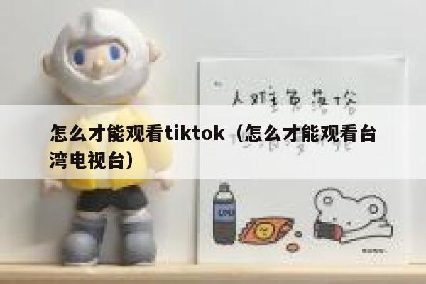怎么才能观看tiktok（怎么才能观看台湾电视台） 第1张