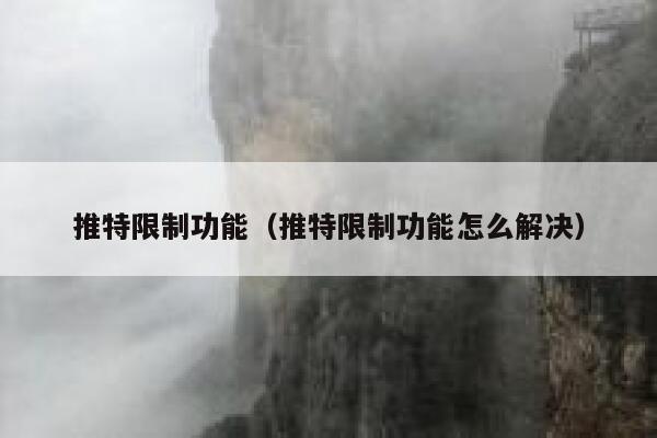推特限制功能(推特限制功能怎么解决) 第1张 推特限制功能(推特限制功能怎么解决) 第1张